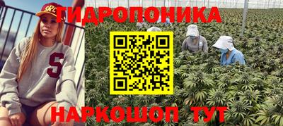 сатива Обнинск