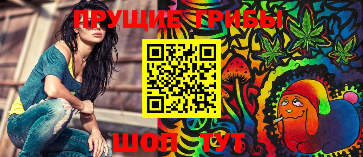 Солнечногорск  Галлюциногенные грибы GOLDEN TEACHER  Вход с VPN 